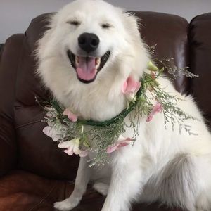 Meet your Posher, Sue